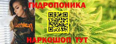 ALPHA PVP Будённовск