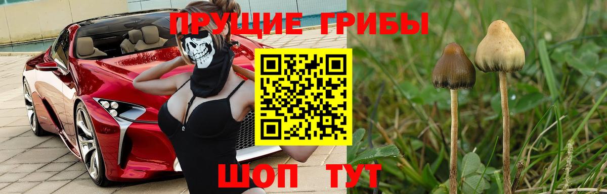 Галлюциногенные грибы GOLDEN TEACHER  Вход с VPN  Серпухов 