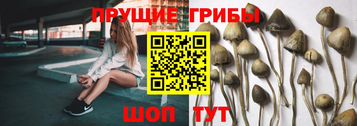 Псилоцибиновые грибы Magic Shrooms Серпухов